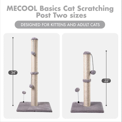 MECOOL Cat Scratching Post Premium Basics Kitten. Everyday comfort that fits naturally into your space.