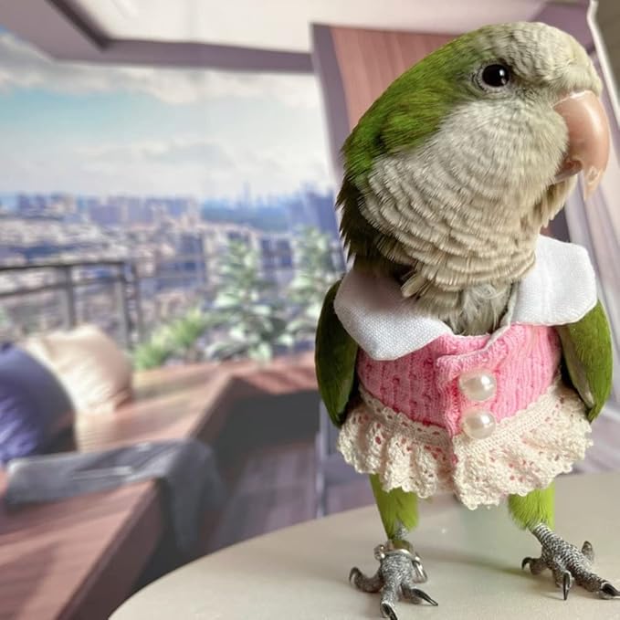 Bird Diaper Flight Suit - Pink Top Bird Clothes Cosplay Photo Prop for Parrots, Lovebirds, Parakeets, Cockatiels & Small Animals (Senegal)