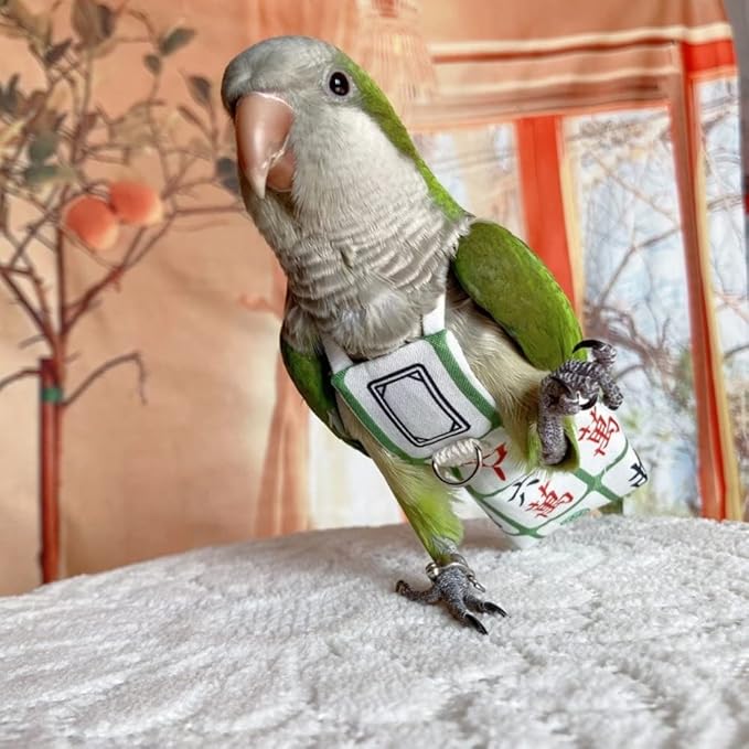 Bird Diaper Harness Flight Suit Clothes, Parrot Flight Suit with Leash for Parrot, Bird Flying Clothes with Rope and Handle for Outdoor Activities Training (with Leash,Caique)