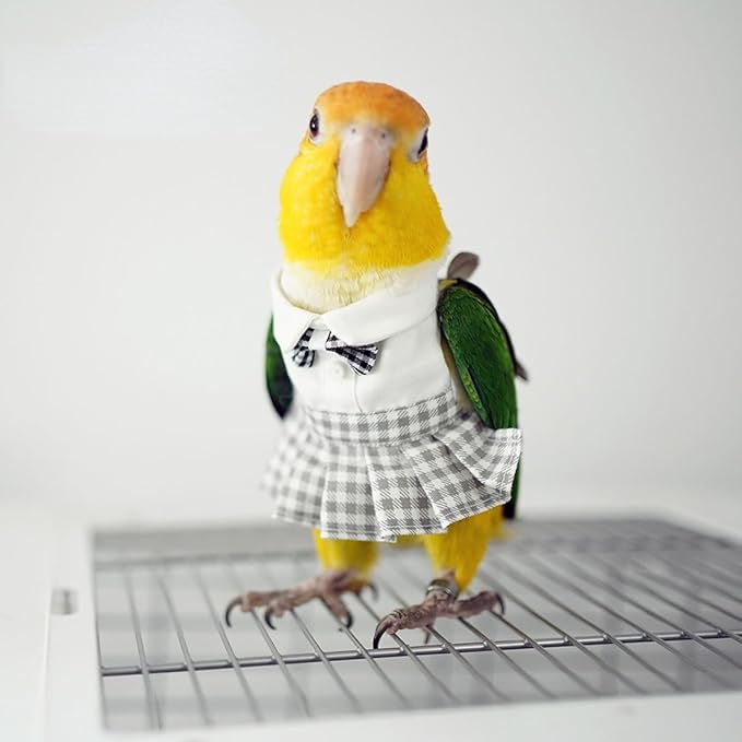 Bird Costume Bird Diaper Flight Suit Cute JK Dress Dress Skirt Clothes Cosplay Photo Prop for Parrots Macaw Cockatoo (Without Diaper,L)