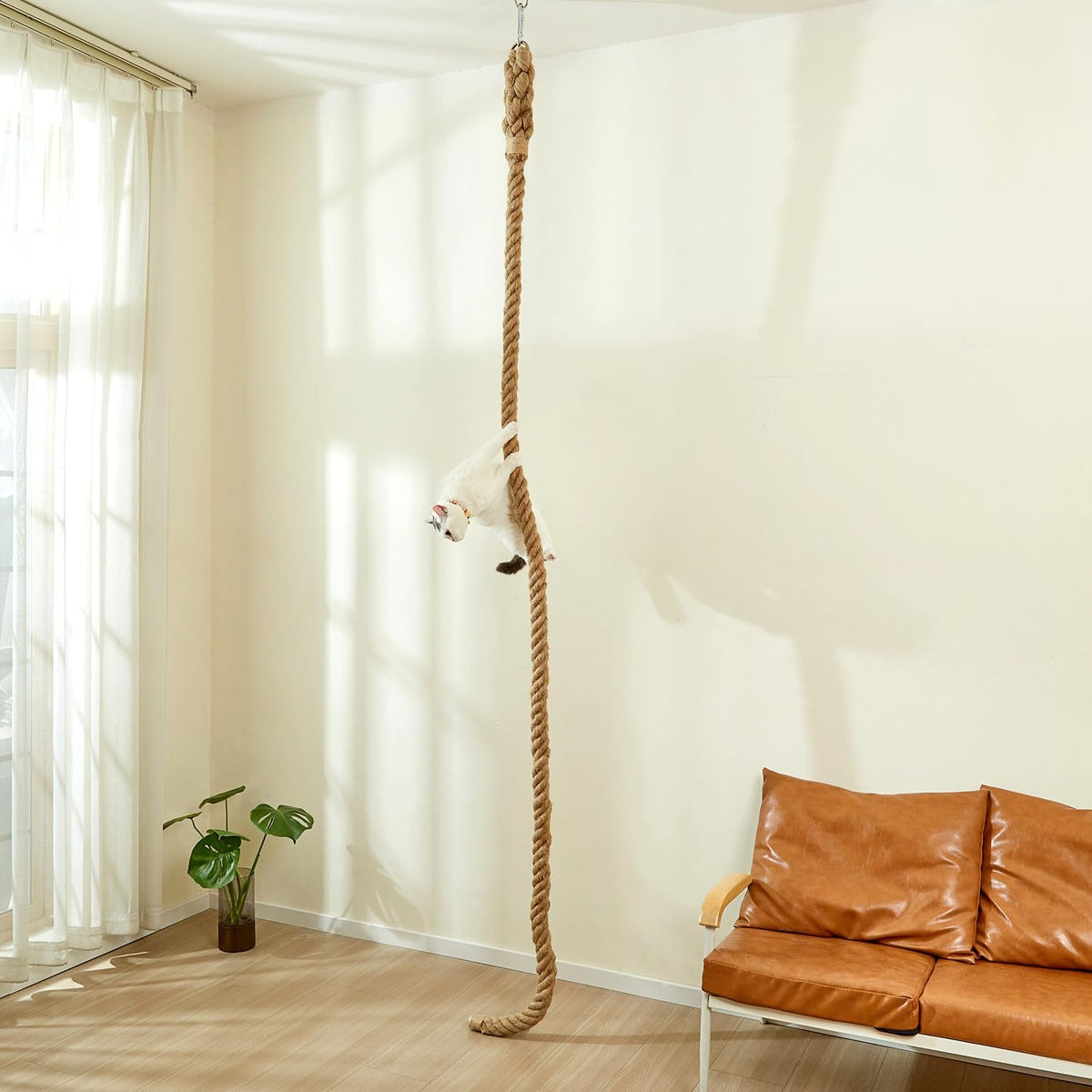 SHENGOCASE 1.9" x 8.9Ft Cat Climbing Jute Rope for Ceiling with Hook, Wall Mounted Furniture for Indoor and Outdoor Cats, Cimbing Pole (8.9 Feet)