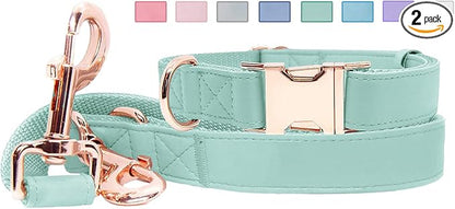 Soft Leather Dog Collar and Leash (6.6') Set - Stylish Rose Gold Heavy Duty Metal Buckle, 4 Adjustable Lengths Leash for Small Medium Large Dogs - Comfortable & Easy to Clean Mint Green M(13.8"-19.7")