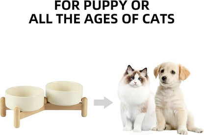 Havniva Elevated Dog Bowls Ceramic Dog Bowls with Stand, Dog Food Bowl | 5.1” Raised Dog Bowls with Non-Slip Wood Stand, Dog Food and Water Bowl Set, Double Dog Feeding Bowls for Small Dogs