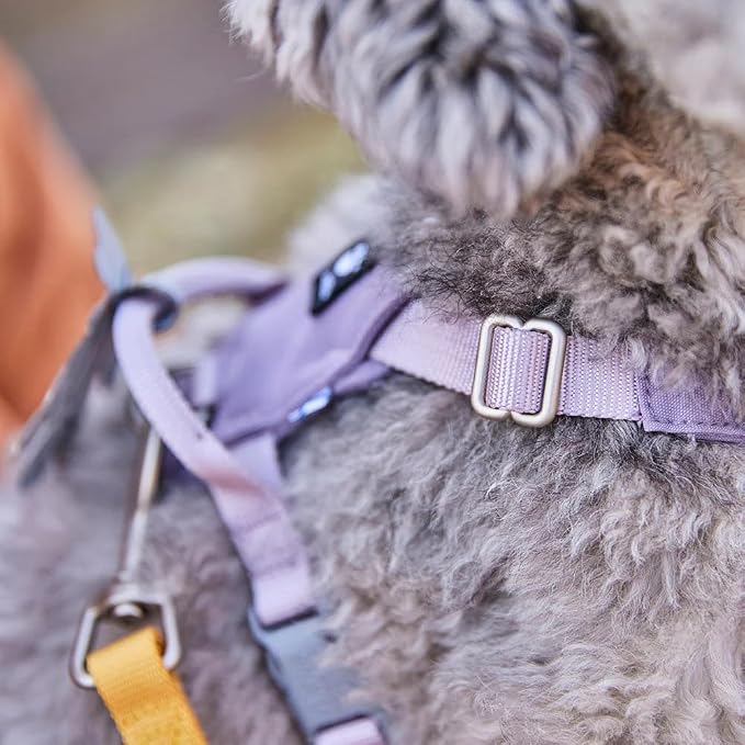Hurtta Seeker Harness, Honey, 14-18 in