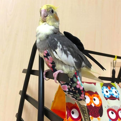 Bird Flight Suits Diapers, Parrot Flight Suits Diapers for Quaker Parakeets Cockatiels Flight Suits, Parrot Clothes (Black,Macaw)