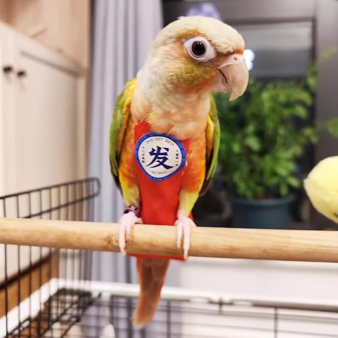 MANON ROSA Bird Diapers Leash Set Washable Reusable Handmade Flight Suit Waterproof Inner Layer - Protective Parrot Nappy Clothes Parakeets Macaws Budgies Canaries (Orange1,Cockatiel)