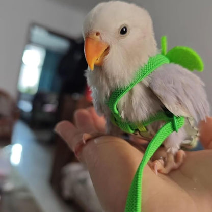 Adjustable Bird Diaper Harness Flight Suit Clothes with 80 Inch Flying Leash Rope for Parrots Conure Cockatiel (Green,2M)