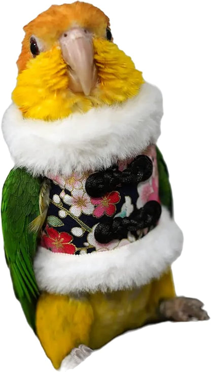 Bird Costume Bird Flight Suit Bird Clothes Cosplay Photo Prop for Parrots Parakeet Cockatiel Sun Conure, Bird Hoodie Small Animals Apparel (Black, Small)