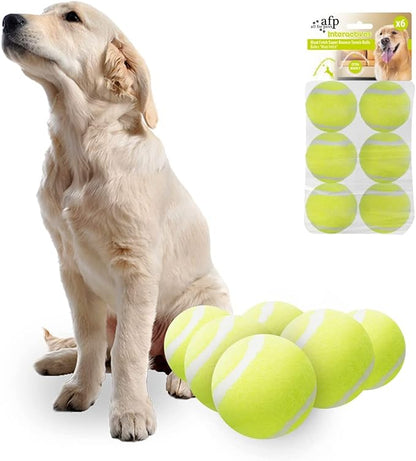 ALL FOR PAWS 2.5-inch Tennis Balls for Dogs, Fetch Toys for Medium Large Dogs, Bouncy & Durable Tennis Balls for Ball Launcher Toy, 6 Pack Fetch Toy for Outdoor Play