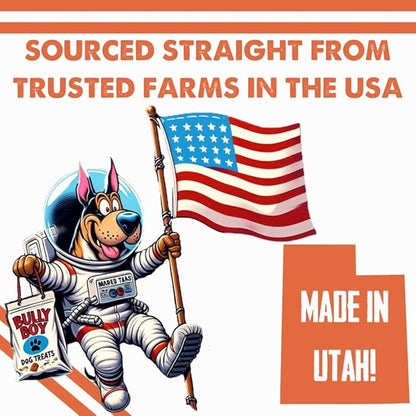 Bully Boy's Famous Mini Beef Training Nibs Dog Treats | Free from Wheat, Corn, Soy, or Gluten | USA Sourced Ingredients | with Smokehouse Beef | Made in Utah | 15 oz - 2 Pack