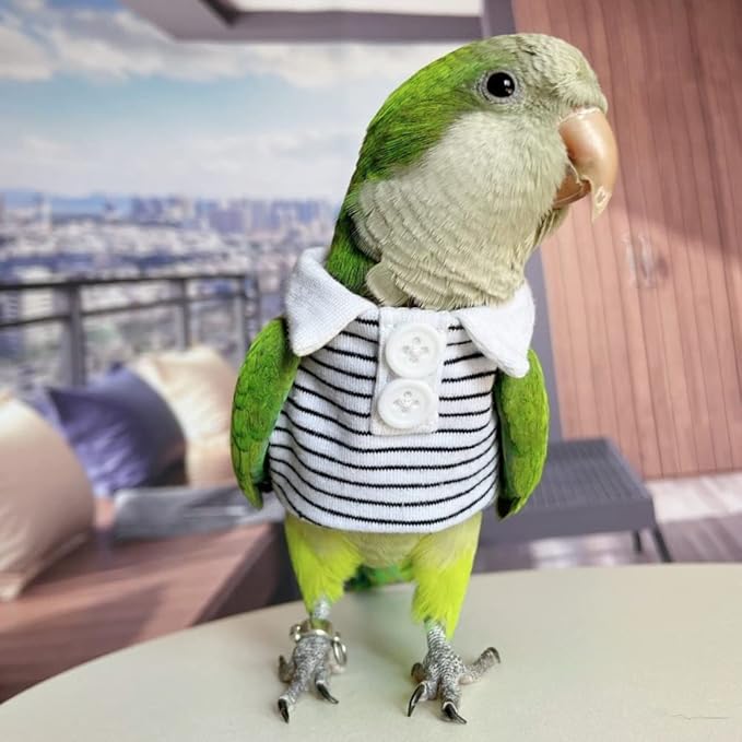 Bird Diaper Flight Suit for Parrots, Lovebirds, Parakeets & Cockatiels - Summer Clothes Cosplay Photo Prop - Small Animal Apparel (with Diaper, Eclectus)