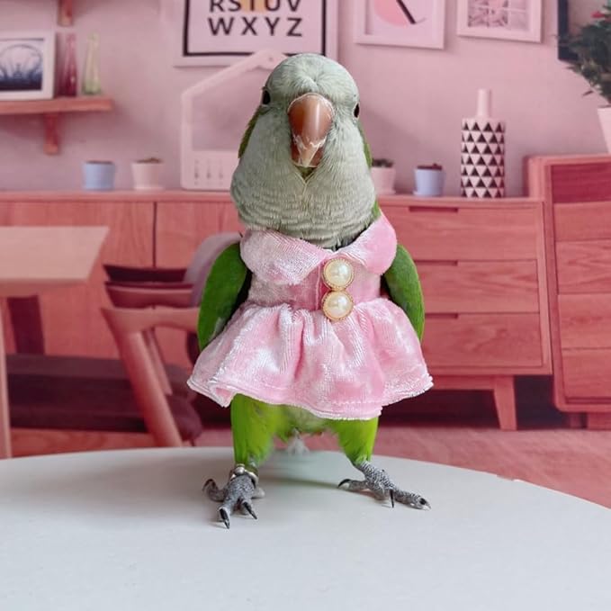 Bird Costume Bird Diaper Flight Suit Parrot Velvet Fleece Skirt Clothes Cosplay Photo Prop for Conure Lovebird Parakeet Cockatiel Macaw Small Animals Apparel (Pink,X-Small)