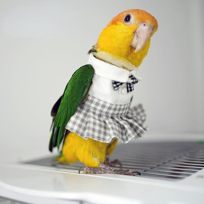 Bird Costume Bird Diaper Flight Suit Cute JK Dress Dress Skirt Clothes Cosplay Photo Prop for Parrots Macaw Cockatoo (Without Diaper,Sulphur-Crested Cockatoo)