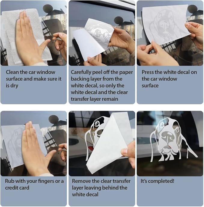 WIRESTER 6 inch Clear Vinyl Decal Sticker Decoration for Car Window (Or Any Flat Surface) - Bug