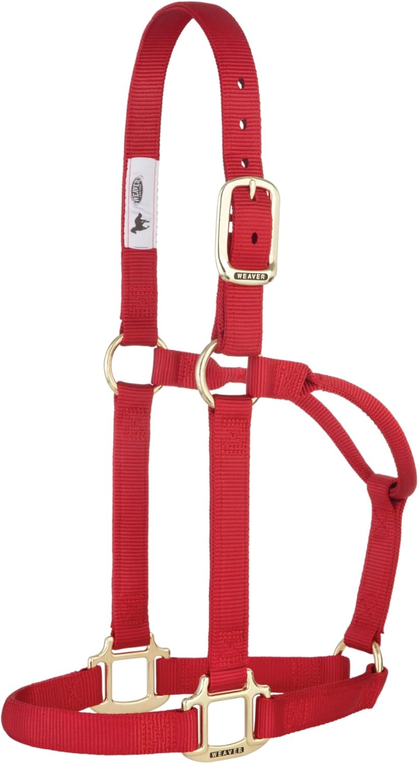 Weaver Equine Nylon Horse Halter, Triple-Ply Cheek Design, Original Non Adjustable Halters for Horses, Equine Tack,Average Size, Black