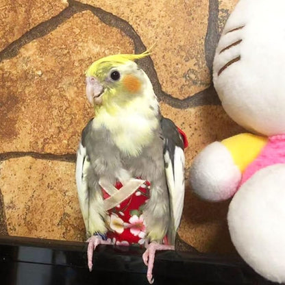 Bird Flight Suits Diapers, Parrot Flight Suits Diapers for Quaker Parakeets Cockatiels Flight Suits, Parrot Clothes (Red,L)