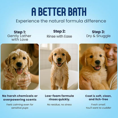 Organic Dog Shampoo - Puppy Oatmeal Shampoo for Itchy Skin Relief - Hypoallergenic for Sensitive Skin, for Dogs of All Ages, Deodorizes, Tearless, Made in USA, 16oz (Lavender)