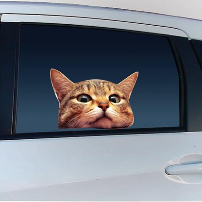 LEMONSODA Cat Car Window Decals Funny 3D Weatherproof Decals (Bengal Cat)