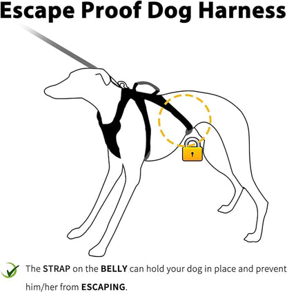 Escape Proof Dog Harness,No Pull Reflective Harness with Lift Handle,Adjustable Pet Vest with Front and Back Leash Clips for Small Medium Large Dogs Walking Hiking Training (Sea Blue,XL)