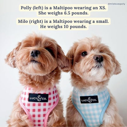 Lucy & Co. Reversible Dog Harness - Water-Repellent Neoprene, Dual-Print Design, Easy Swap Style, Adjustable Comfort Fit - Take a Bow Reversible Harness - X-Large