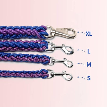 Love Dream Dog Collar and Leash Set, Heavy Duty Nylon Braided Rope Strong 4 FT Dog Leash and Martingale Training Collar for Small Medium Large Dogs Training and Walking (Red & Purple)