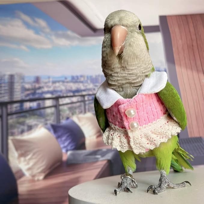 Bird Diaper Flight Suit - Pink Top Bird Clothes Cosplay Photo Prop for Parrots, Lovebirds, Parakeets, Cockatiels & Small Animals (Senegal)