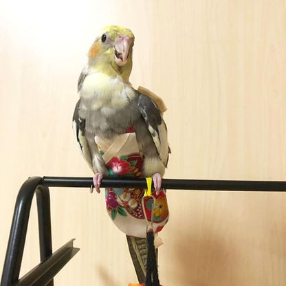 Bird Flight Suits Diapers, Parrot Flight Suits Diapers for Quaker Parakeets Cockatiels Flight Suits, Parrot Clothes (Red,L)