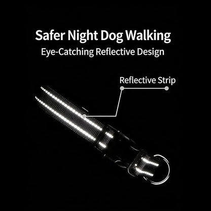 Dog Collar Leash Set, Gradient Color, with Safety Reflective Strips, 5 ft Matching Leash, Neoprene Padded Handle, Adjustable 4 Sizes for Small Medium Large Dogs.(L, Orange Pink)
