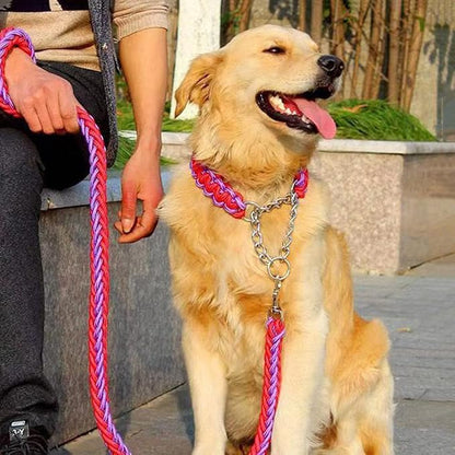 Love Dream Dog Collar and Leash Set, Heavy Duty Nylon Braided Rope Strong 4 FT Dog Leash and Martingale Training Collar for Small Medium Large Dogs Training and Walking (Pink)