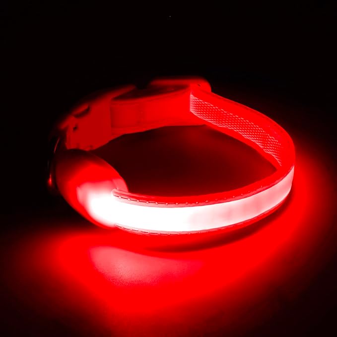 Light up Collar for Small Dog,Vizpet XS Adjustable Size Nylon Collar USB Rechargeable Bright Safety Pet Collar for Cats Small Dogs(Red, X-Small[ 8.66-11.9 inch/22cm-30cm])