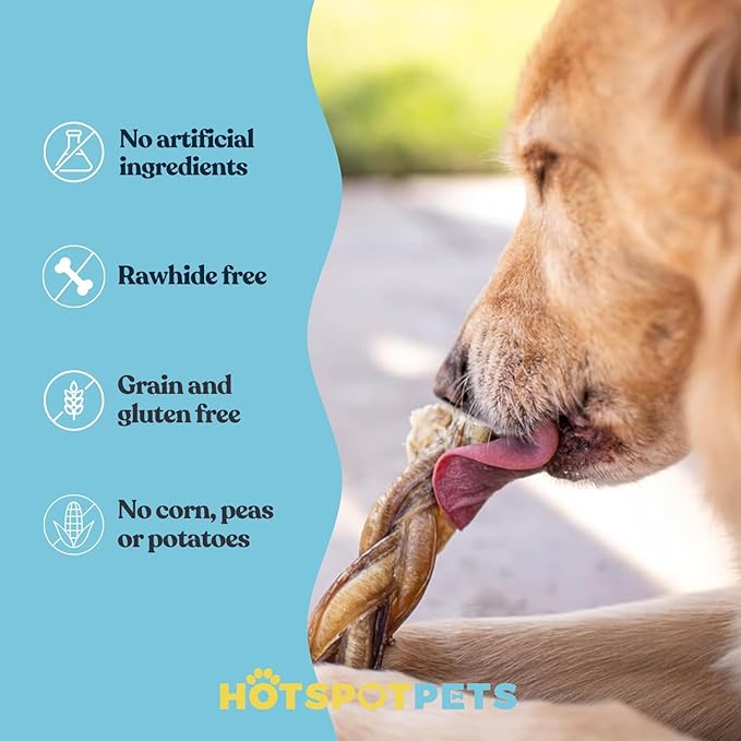 hotspot pets Braided Bully Sticks for Dogs - 6 Inch Stix (10 Pack) All Natural Long Lasting Twisted Beef Pizzle Dog Chew Treats - Low Odor, Grain Free Fully Digestible Rawhide Alternative Sticks