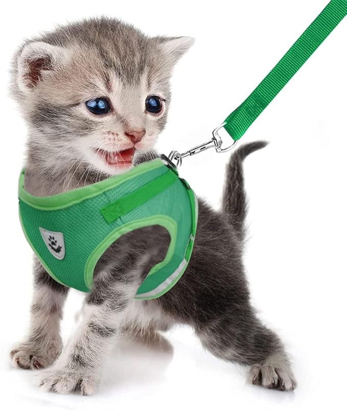 FEimaX Dog Harness and Leash Set for Walking, Soft Mesh Adjustable Easy Control Lightweight Cat Vest Harnesses with Reflective Strips, Escape Proof Small Dogs Cats Vests