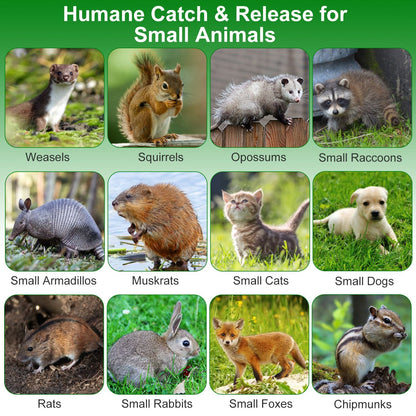 2Pcs 18x8x10In Humane Single Door Live Animal Trap For Spring Summer Collapsible Galvanized Iron Animal Cage Catch And Release For Small Squirrel Raccoon Feral Cat Weasel Armadillo Opossum