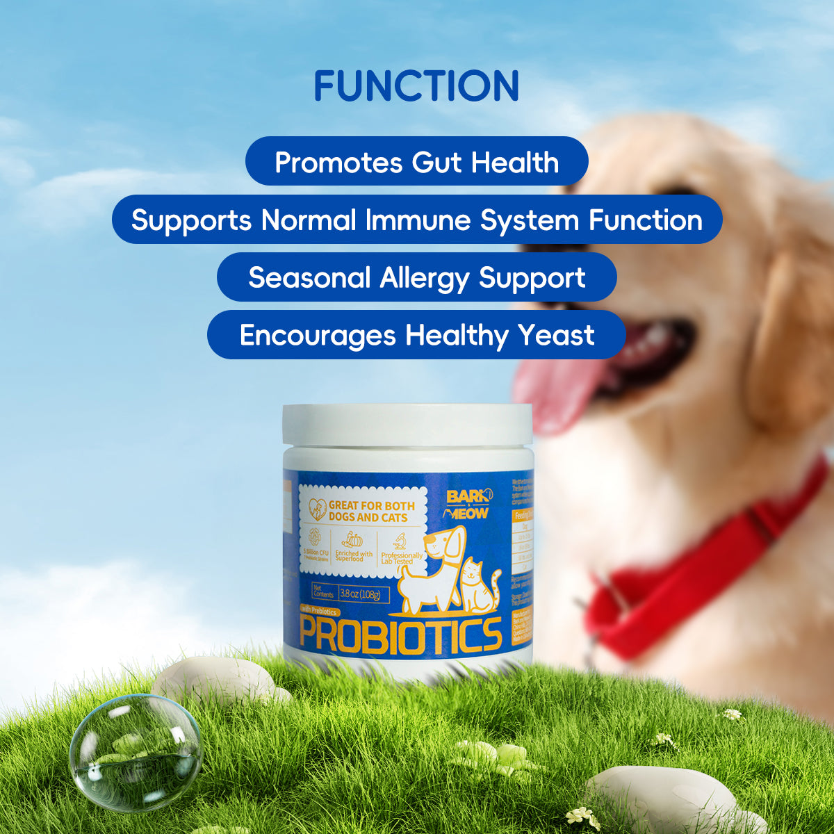 Bark And Meow Probiotics For Dogs & Cats 7 Tailored Strains Prebiotics, Pumpkin & Carrot 5 Billion CFU Scoop Human-Grade, Non-GMO, Vet-Approved, Made In USA, Gut & Immune Support
