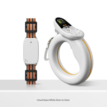 Smart Control Leash