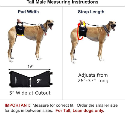 Dog Support Harness, Rear End Lift Sling, Tall Male, Made in USA | Fits Tall, Lean Dogs like Greyhounds or Great Danes, Padded Mobility Aid, Help Pets Walk or Balance, Machine Wash & Dry