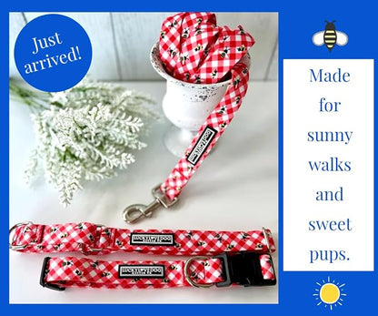 Lucky Love Dog - Adjustable Dog Collar with Easy Click Buckle for Small Ones, Durable, & Comfortable for Male & Female Dogs, Pet Collar for Puppies & Adult Dogs - Bailey, XS