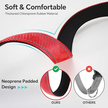 Reflective Dog Collar with Quick Release Buckle - Metal Ring - Adjustable Soft Neoprene Padded Basic Dog Collar for Small Medium Large Dogs (Red, Large :Width 1",Neck 15.7-23.6")