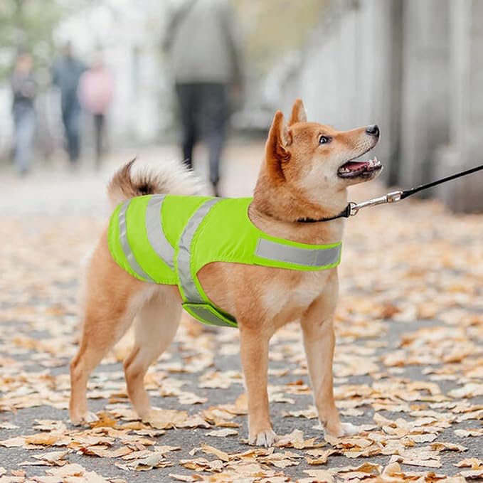 Kuoser Reflective Dog Vest, High Visibility Safety Vest for Medium to Large Dogs, Lightweight Pet Reflective Vests for Hunting Outdoor Activities Walking at Night, Fluorescent Green 2XL