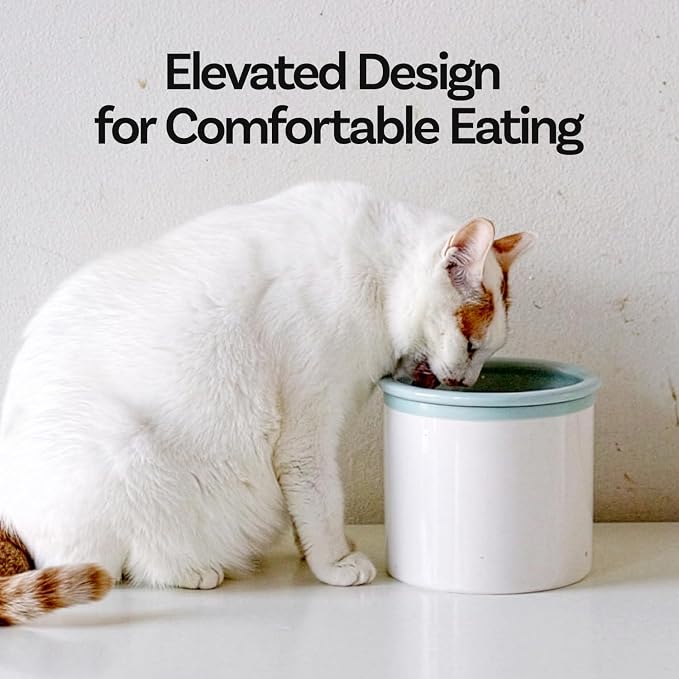 Hello Bowl Elevated Ceramic Cat Bowl with Stand, Raised Whisker-Friendly Feeding Bowl for Cats & Small Dogs, Patented Design, Made in Korea (Pink, Square Only/Dry)