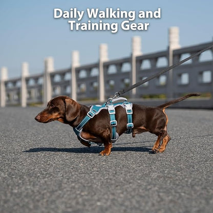 Escape Proof Dog Harness, No Pull Reflective Harness with Lift Handle, Adjustable Pet Vest with Front and Back Leash Clips for Small Medium Large Dogs Walking Hiking Training (Teal,L)
