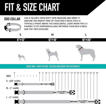 Wolfgang Heavy Duty, Adjustable Dog Collar with Quick Release Nylon Buckle for Walking & Training, LazyDaisy Print, Small