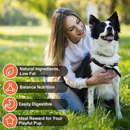 MON2SUN Chicken Jerky Dog Treats Made with Chicken Breast, High Protein & Grain Free, Training Treats for Small to Large Dogs (21 Ounce -Pack of 1)