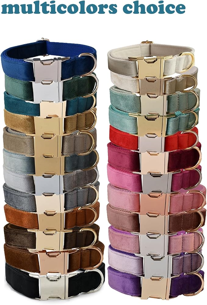 Love Dream Velvet Dog Collar and Leash Set, Soft & Comfy Adjustable Dog Leash and Collar with Heavy Duty Metal Buckle for Small Medium Large Dogs Training & Walking (Medium, Peacock Green)