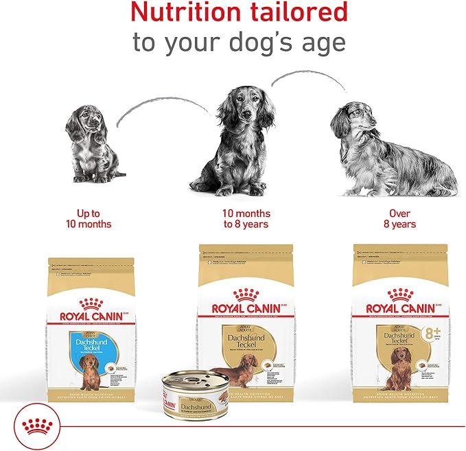 Royal Canin Breed Health Nutrition Dachshund Puppy Dry Dog Food, 2.5 lb Bag