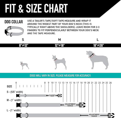 Wolfgang Heavy Duty, Adjustable Dog Collar with Quick Release Nylon Buckle for Walking & Training, LosMuertos Print, Small