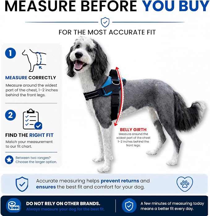 ShawnCo Essential Dog Harness, No-Pull Pet Vest (Olive Green,M) | 3 Leash Clips, Easy On, No-Choke, Reflective, Adjustable Fit, Padded Comfort, Control Handle, For Small, Medium & Large Dogs