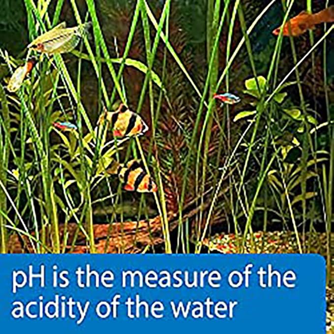 API TEST STRIPS,For Variety of Water Parameters,Monitor aquarium water quality and help prevent invisible water problems that can be harmful to fish,Use weekly and when problems appear,25-Count (33F)