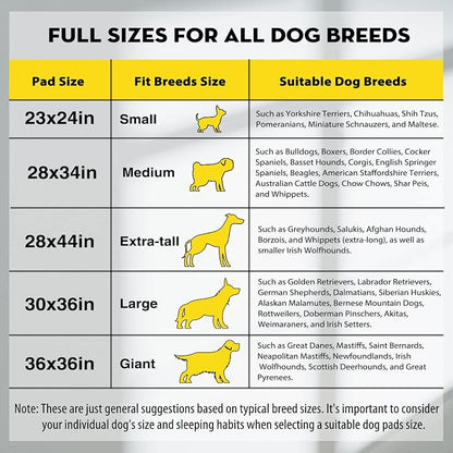 CROCI Charcoal Pee Pads for Dogs Odor Control Leak Proof XXL 28x44in 25Ct | Super Absorbent Puppy Pads with Adhesive Tabs, Heavy Duty, Dog Potty Training, Quick-Dry Surface, Disposable