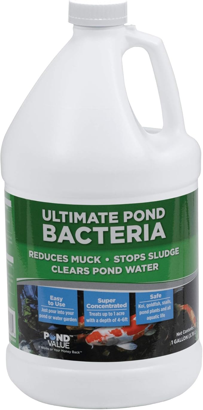PondValue Ultimate Pond Bacteria, Outdoor Pond & Lake Natural Beneficial Bacteria Treatment, Aquatic Odor Reducer & Sludge Digester, Fish, Plant, & Livestock Safe, Easy Dosing Liquid, 1 Gallon Bottle